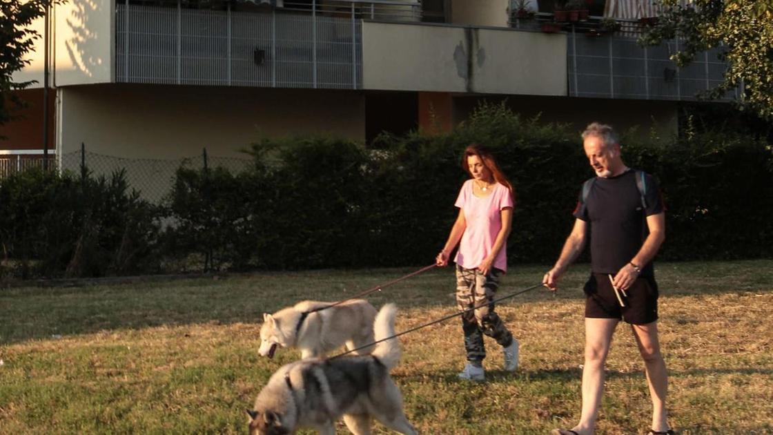 Firenze, Invaso un altro appartamento, via Liguria sotto assedio.