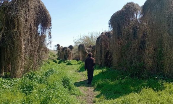 Gino Martella racconta "Storia di una zolla di terra" a Ca' Lunae, la città della Spezia.