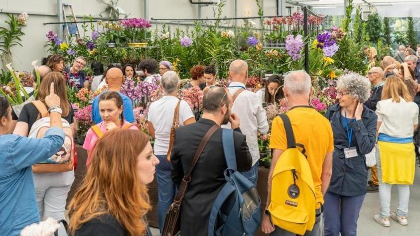 Grande successo per "Orchidea 2023" a Pistoia, Mati soddisfatta