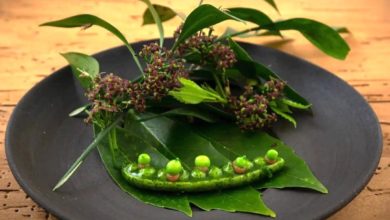 Il Butterfly di Lucca premiato nella guida "verde" per i suoi ristoranti green.