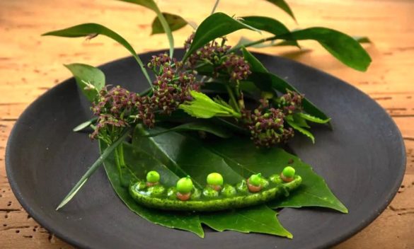 Il Butterfly di Lucca premiato nella guida "verde" per i suoi ristoranti green.