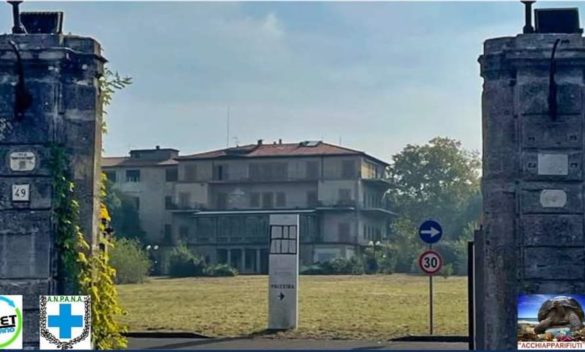 Il parco di Villa Rodocanacchi apre al pubblico, Reset organizza la pulizia del bosco.