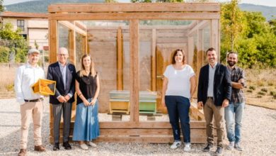 Inaugurato al Parco degli Etruschi, il Giardino delle api è una nuova attrazione - Piana Notizie.