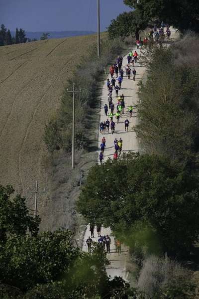 La Francigena Ultra Marathon parte da Acquapendente il prossimo sabato | Newtuscia Italia.