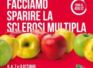 Le mele di Aism a Siena e provincia - Il Cittadino Online.