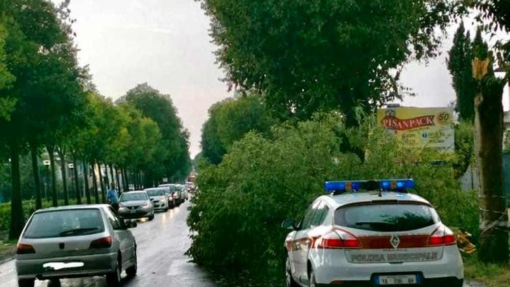 Maltempo persistente, pioggia, vento e mareggiate mantengono l'allerta meteo.