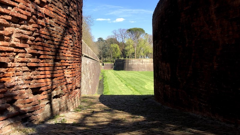 Marcia a Lucca per la Giornata Mondiale dei Monumenti Verdi della Salute Mentale - gonews.it