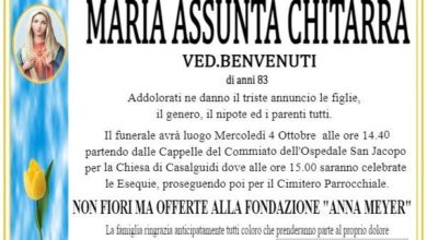 Maria Assunta Chitarra - Report su Pistoia