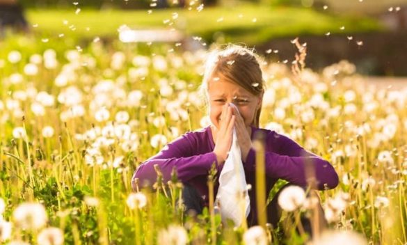 Medici, Il 15% dei fiorentini soffre di allergie autunnali