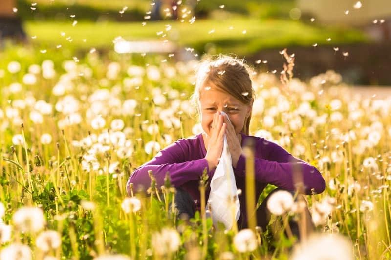 Medici, Il 15% dei fiorentini soffre di allergie autunnali