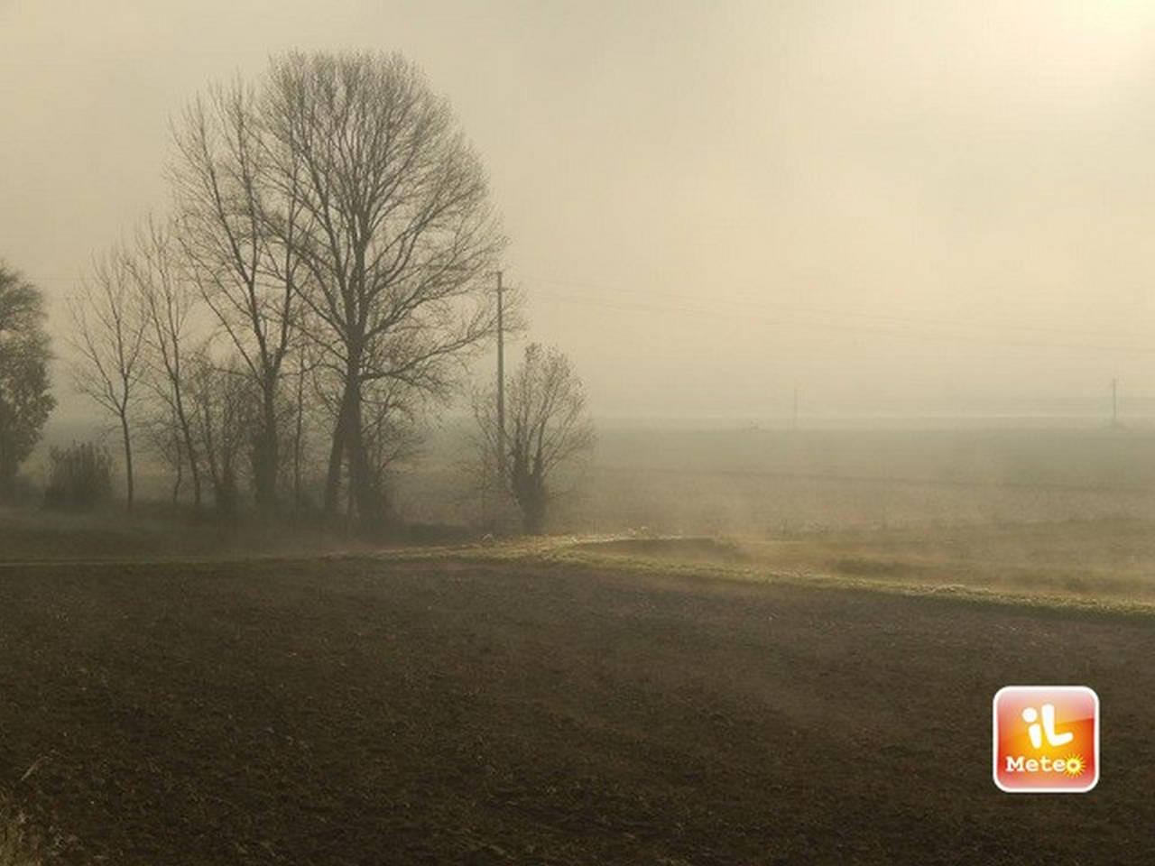 Meteo Prato