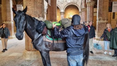 Moroni e la sua cavalla Furia visitano Siena | RadioSienaTv