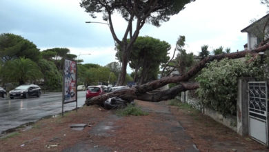 Oltre 100 persone a Carrara risarcite per danni del downburst - NoiTV