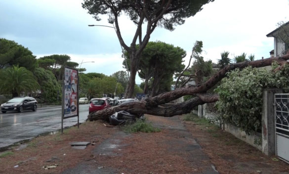 Oltre 100 persone a Carrara risarcite per danni del downburst - NoiTV