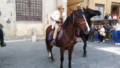 Passeggiata a cavallo terminata in Piazza, Brontolo commenta il Palio di Siena e gli altri palii d'Italia.