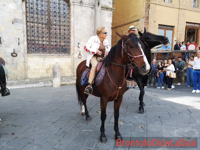 Passeggiata a cavallo terminata in Piazza, Brontolo commenta il Palio di Siena e gli altri palii d'Italia.