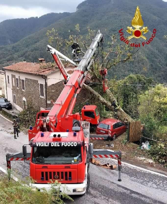 Pioggia e vento causano disagi nel Pistoiese, alberi caduti e danni, pianta si abbatte su tetto a Stazzema, viale Italia chiuso a Livorno.