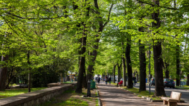 Pisa, paradiso del foliage! 3 luoghi magici da scoprire. | PaesiOnLine