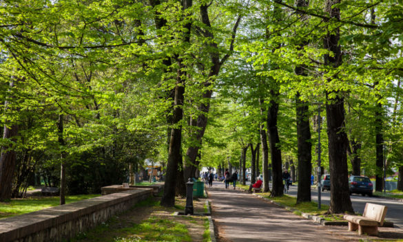 Pisa, paradiso del foliage! 3 luoghi magici da scoprire. | PaesiOnLine