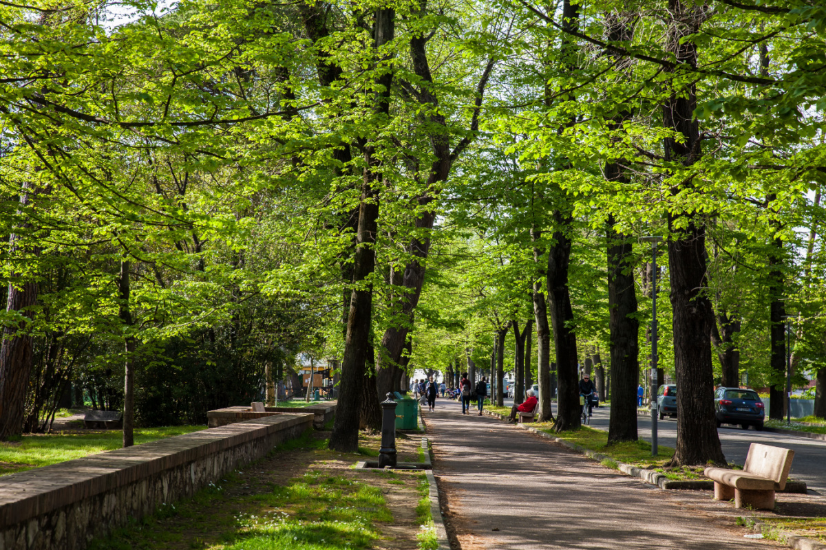 Pisa, paradiso del foliage! 3 luoghi magici da scoprire. | PaesiOnLine