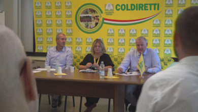 Pistoia - Coldiretti, Cesani denuncia l'emergenza della fauna selvatica - Notizie