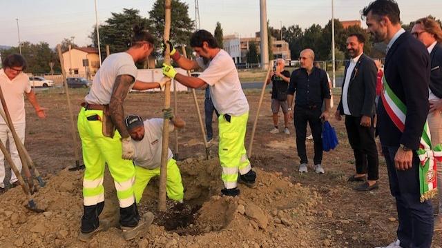 Prato inaugura Bosco delle Neofite con primo albero piantato.