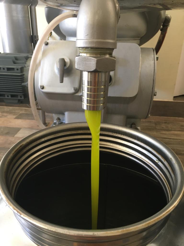 Produzione di olio in Toscana limitata, solo accessibile alle élite.