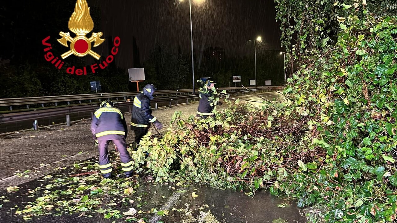 Albero caduto sul ponte all'Indiano, la foto che racconta il pericolo.