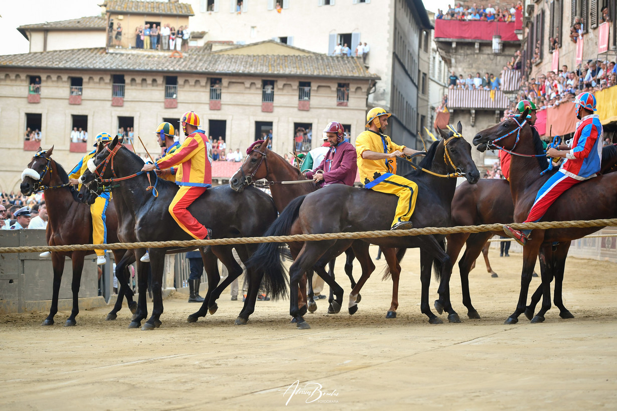 Palio di Siena 16 agosto 2023, mossa