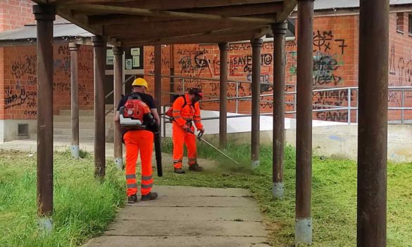 Riassunto, "Pistoia, Strade Provinciali e taglio dell'erba "