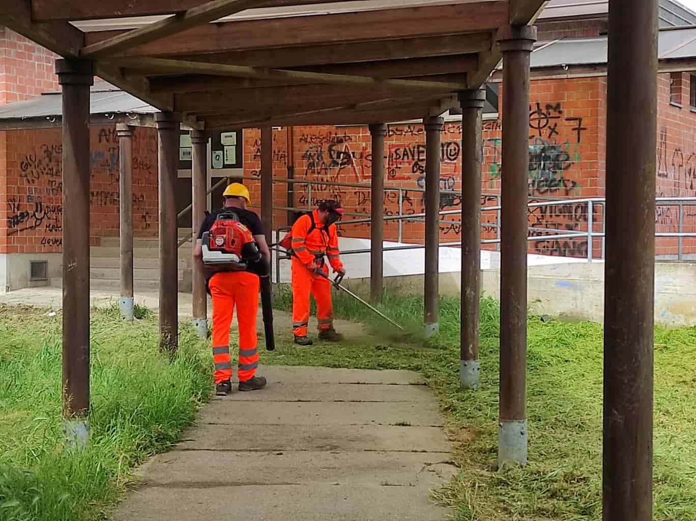 Riassunto, "Pistoia, Strade Provinciali e taglio dell'erba "