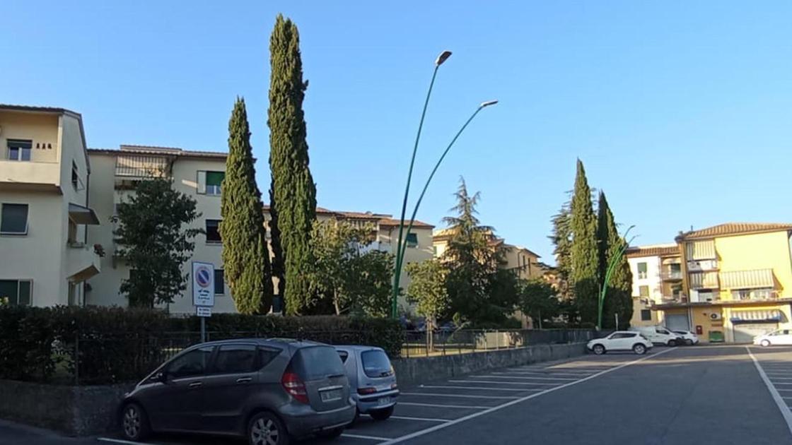 Ricerca autore nel Petriccio di Siena, giro in scooter senza luci.