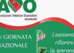 Sabato, il XV giorno dell'Associazione Volontari Ospedalieri celebra il loro impegno.