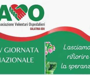 Sabato, il XV giorno dell'Associazione Volontari Ospedalieri celebra il loro impegno.