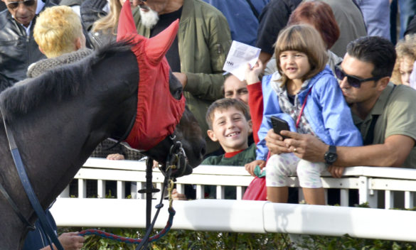 Seconda giornata di corse all’Ippodromo di San Rossore, dedicata al Parco - Primo giornale online di Pisa.