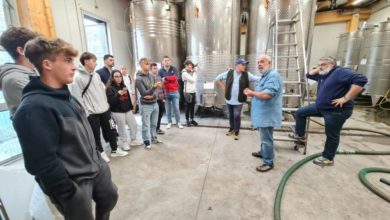 Studenti dell'agrario esplorano i segreti del vino dei Colli di Luni a La Spezia.