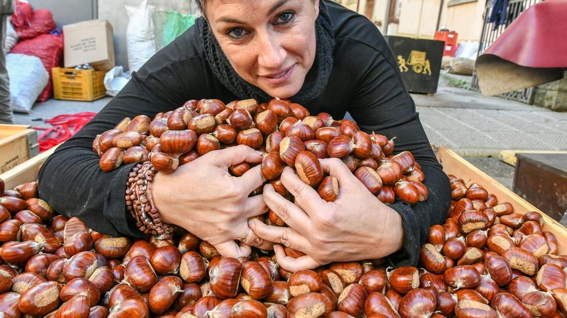 Un trionfo culinario, le sagre celebri della castagna.