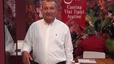 Vendemmia 2023 Cantina vini tipici Arezzo, qualità ottima, volumi in calo