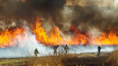 Vigili del Fuoco intervengono per un incendio alle sterpaglie