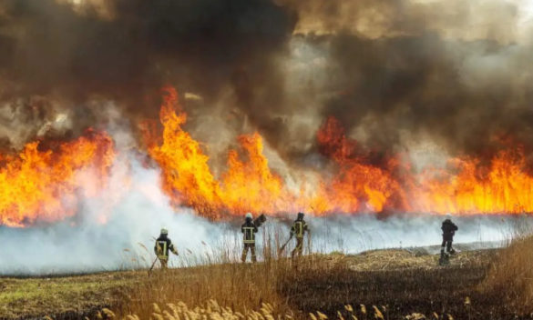 Vigili del Fuoco intervengono per un incendio alle sterpaglie