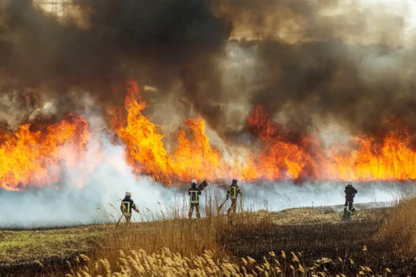 Vigili del Fuoco intervengono per un incendio alle sterpaglie