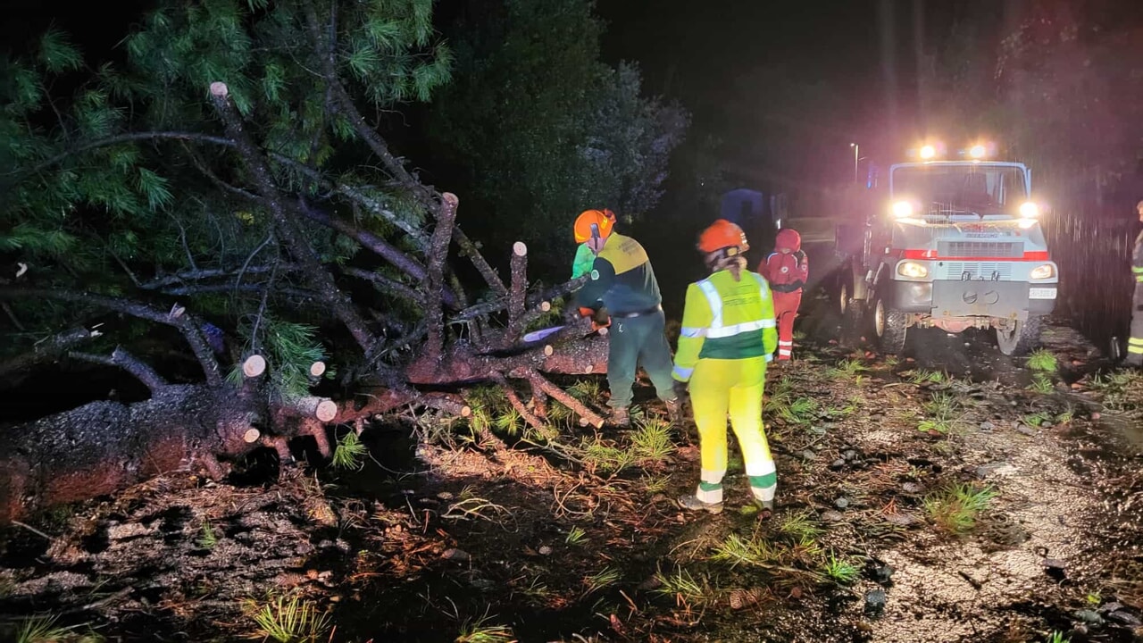 100 interventi dei vigili del fuoco per danni da vento e pioggia, strade bloccate da piante.