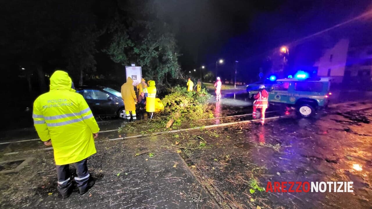 Albero cade su auto, emergenza regionale per maltempo, tragedia evitata.