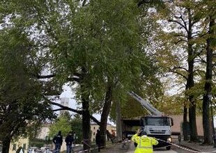 Allerta meteo, tratto delle Mura chiuso nuovamente