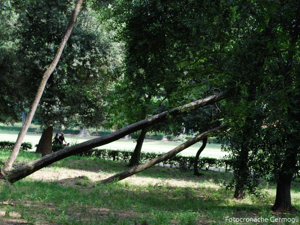 Allerta vento nel fiorentino, forte Libeccio atteso