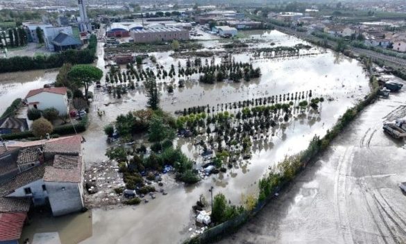 Alluvione causa danni per 25 milioni nel vivaismo.