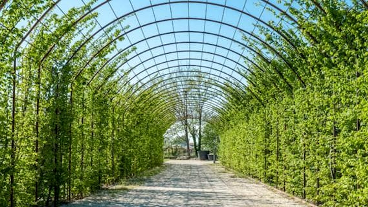 Apertura di un parco urbano per il tempo libero