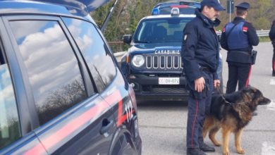 "Arrestato per droga in auto e a casa nel Pisano" - gonews.it