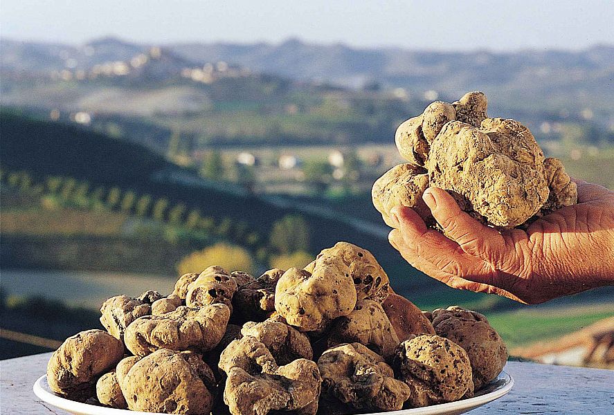 Assaggia il tartufo bianco a Firenze durante l'autunno del 2023.