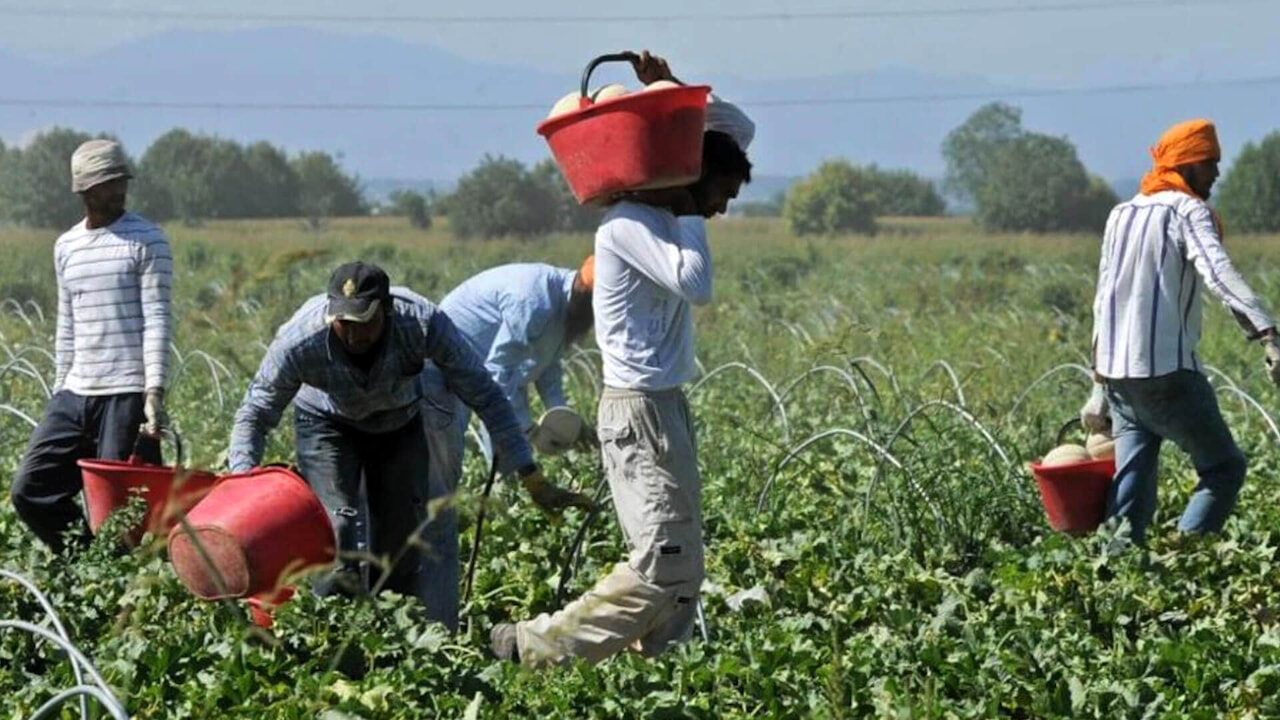 Braccianti sfruttati a 5€/ora per 12 ore in 7 comuni aretini.